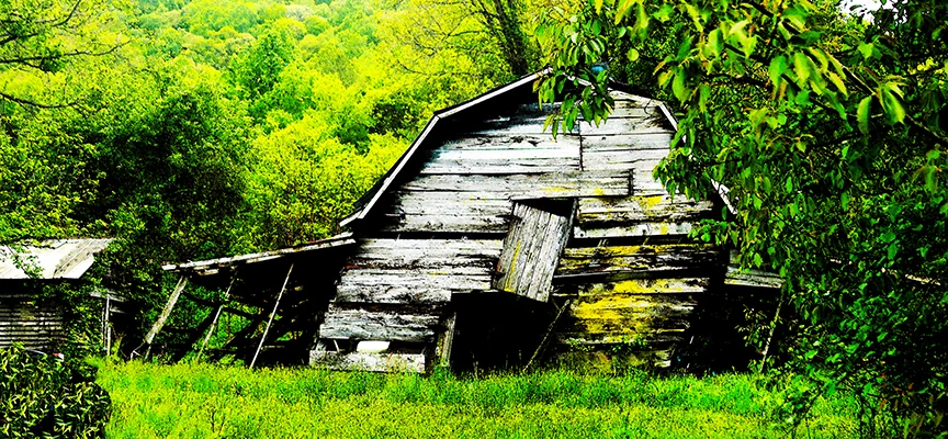 An old weathered barn tucked in the Madison County woods